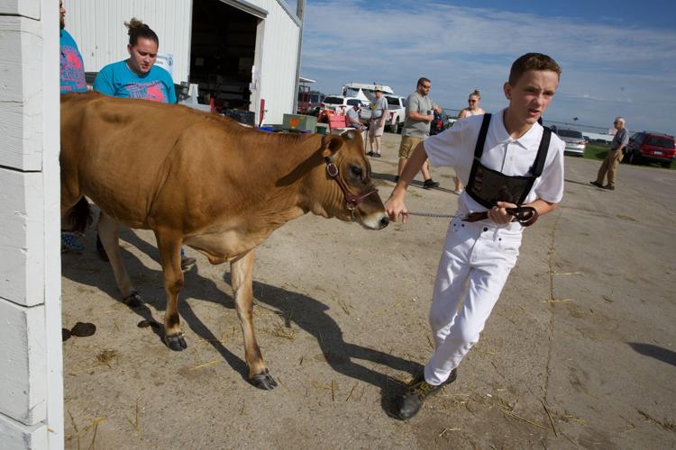 4-H at Walworth County Fair