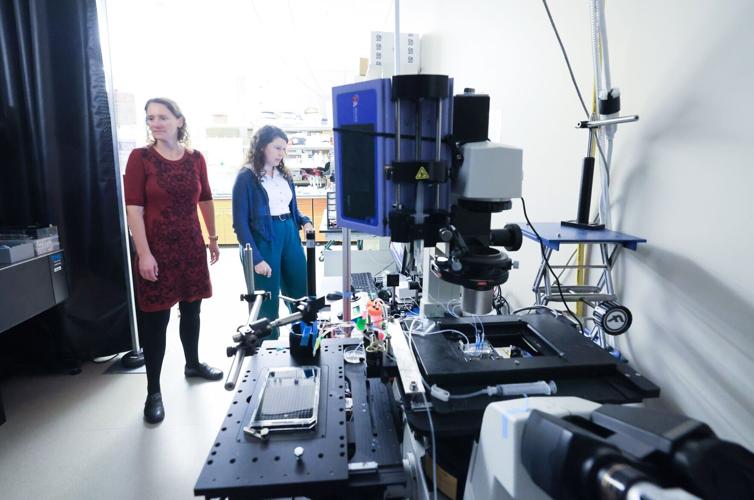UW cancer stem cell lab