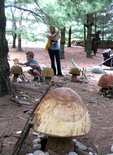 Fairy houses