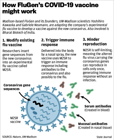 FlueGen's COVID-19 vaccine
