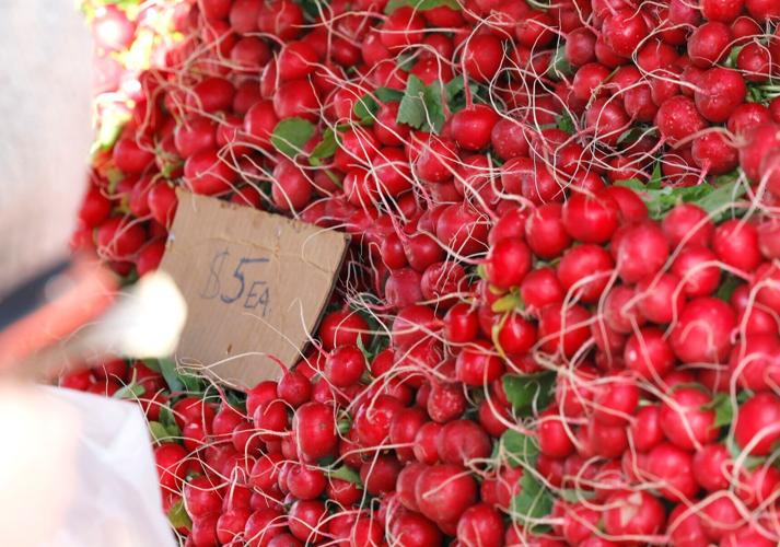 Dane County Farmers' Market opener