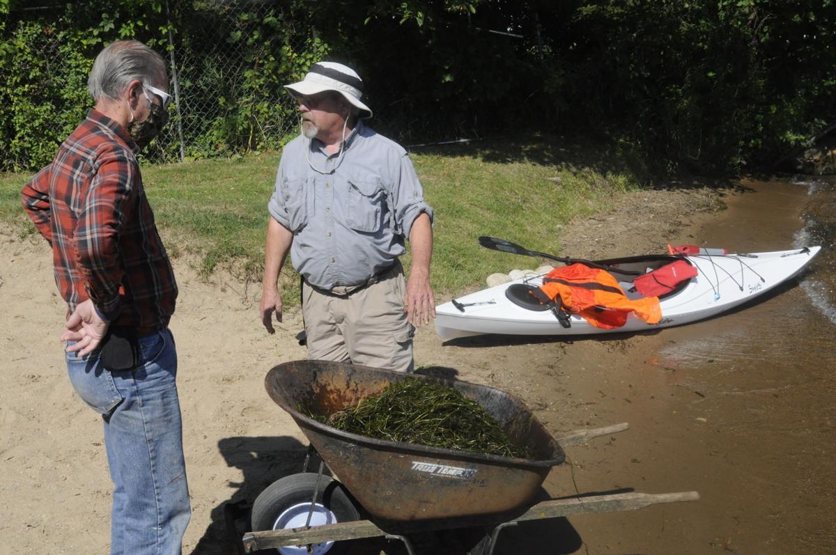 Starry stonewort hand pulling