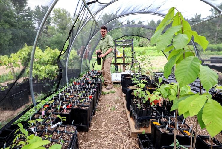First-Generation-Farm-04-20260710-259696.JPGWIS0004086843.JPG