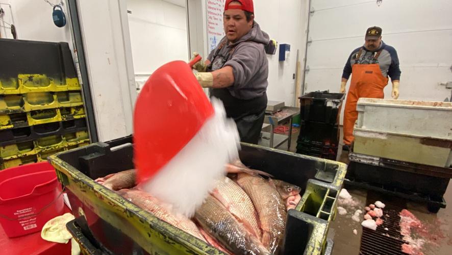 Red Cliff Fish Co.
