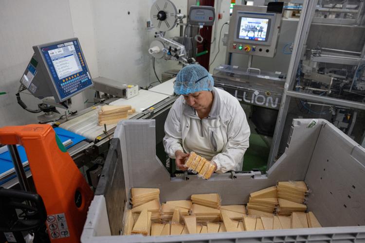 Extreme heat threatens Italy's Parmesan heartland