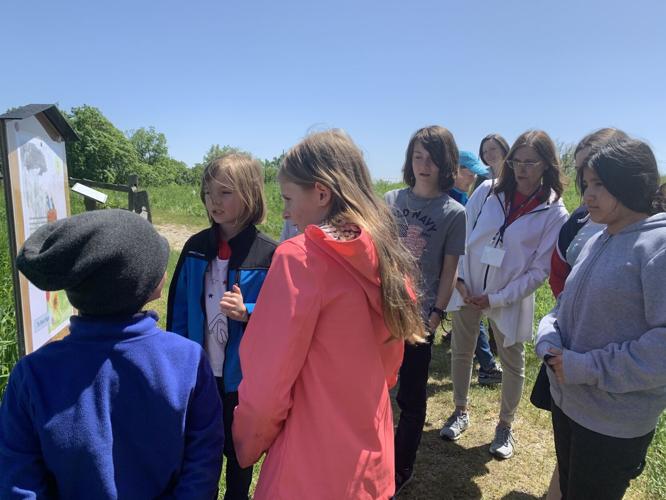 Fifth-grade students at St. Francis de Sales Parish School created a storybook trail for Four Seasons Nature Preserve