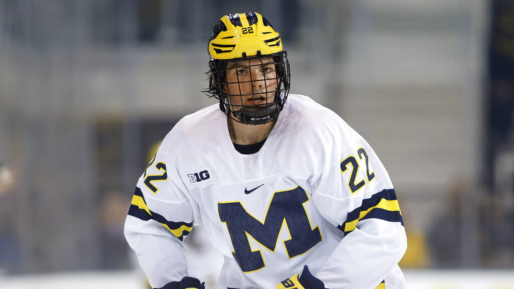 Michigan Hockey (copy)