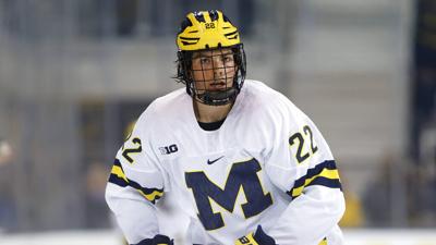 Michigan Hockey (copy)