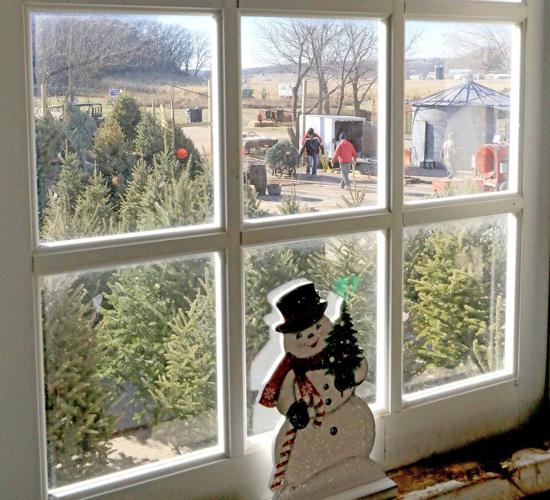 Christmas Trees