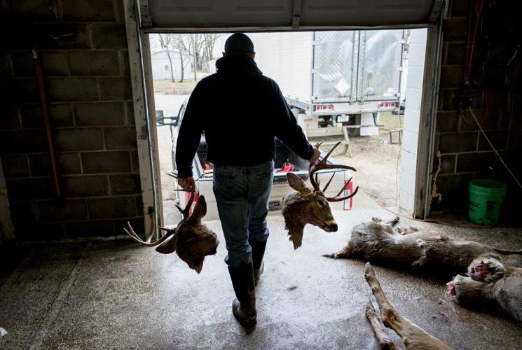 Chronic wasting disease