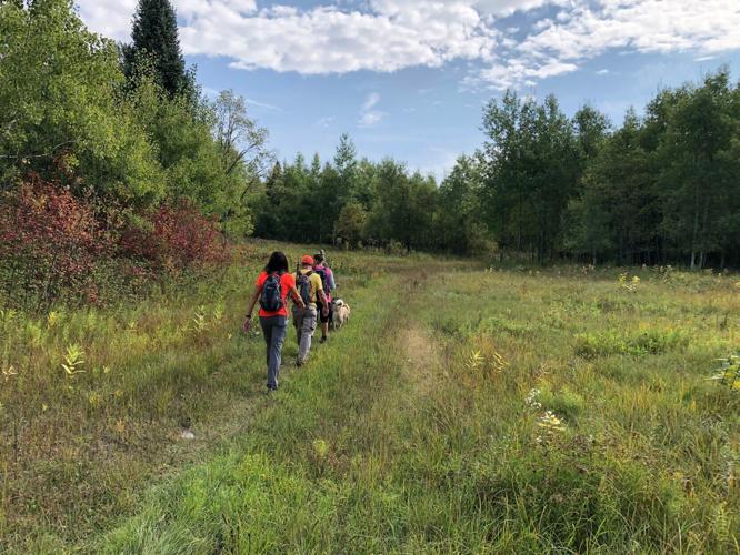 Hikers on trail