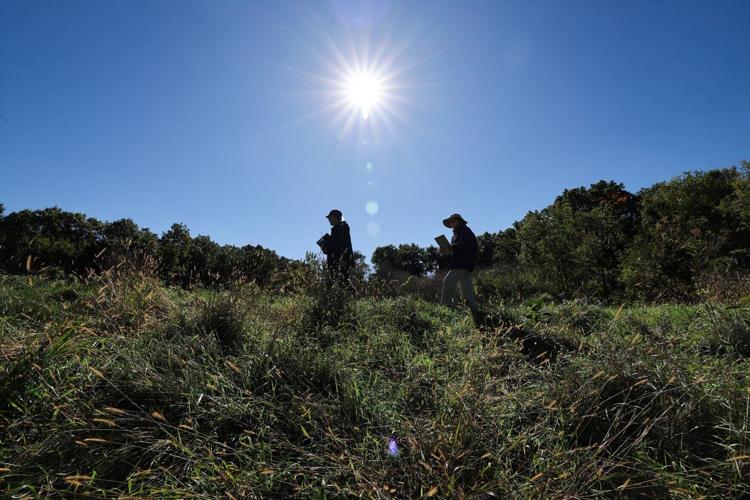 UW-Madison Lakeshore Nature Preserve proposed service road