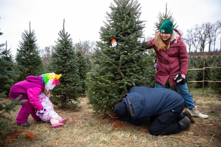 Cutting down the annual Christmas tree