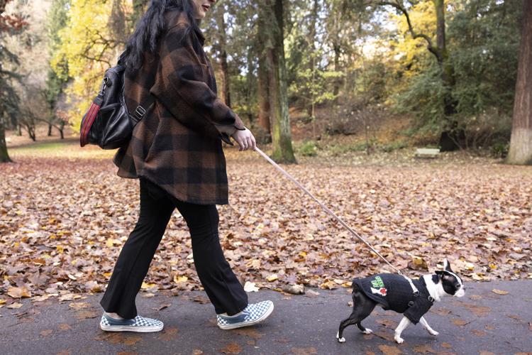 xxxDomestic Violence Assignment_Rachel