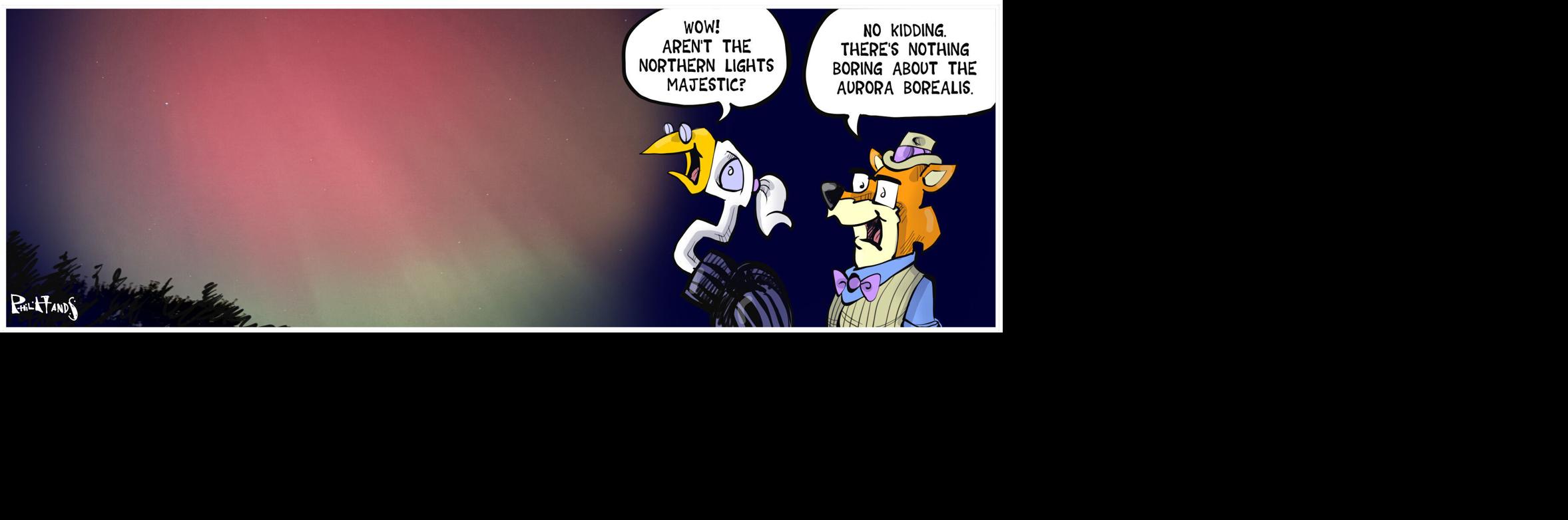 MENDOTA MARSH by Phil Hands