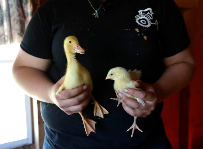 Emily Lund with ducklings and chicks