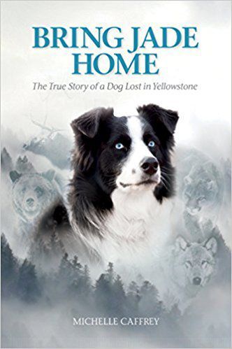 "Bring Jade Home" cover