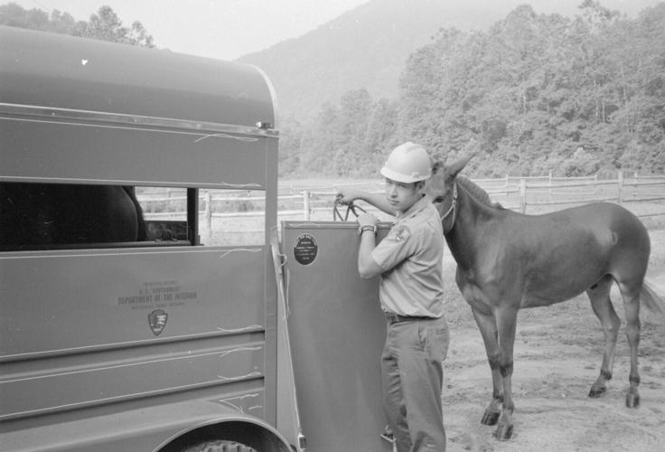 Mule team -- 1977