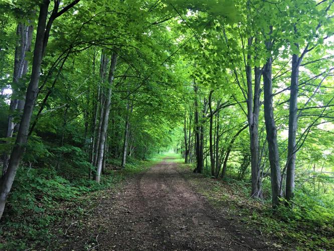 Trail view along the rails-to-trails Pelishek-Tiffany Nature Trail