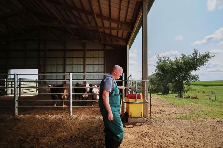 Wisconsin veterinary shortage