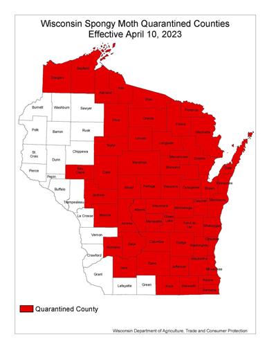 Spongy moth quarantine areas in Wisconsin (April 2023)