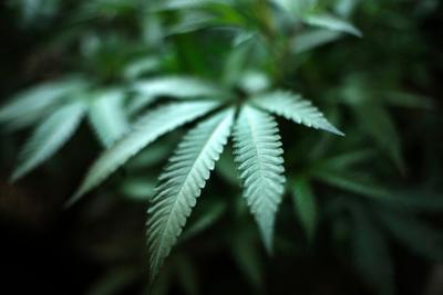 OUR VIEW: Drop failed war on weed in Wisconsin