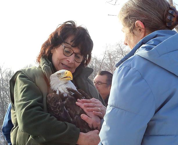 Eagle Release