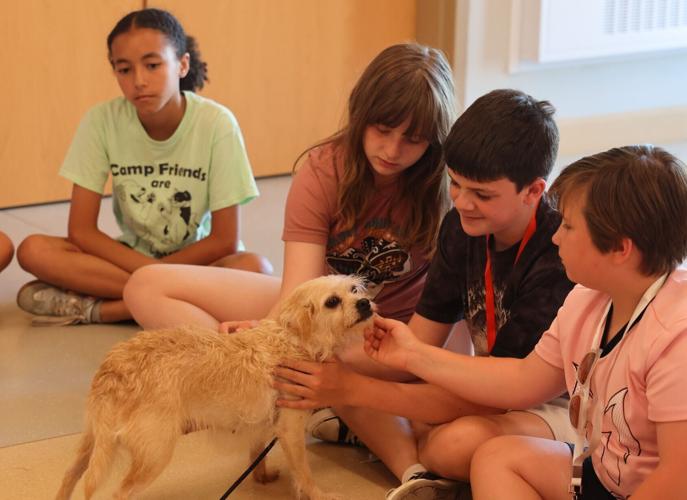 Children pet dog at 'Camp Unleashed'