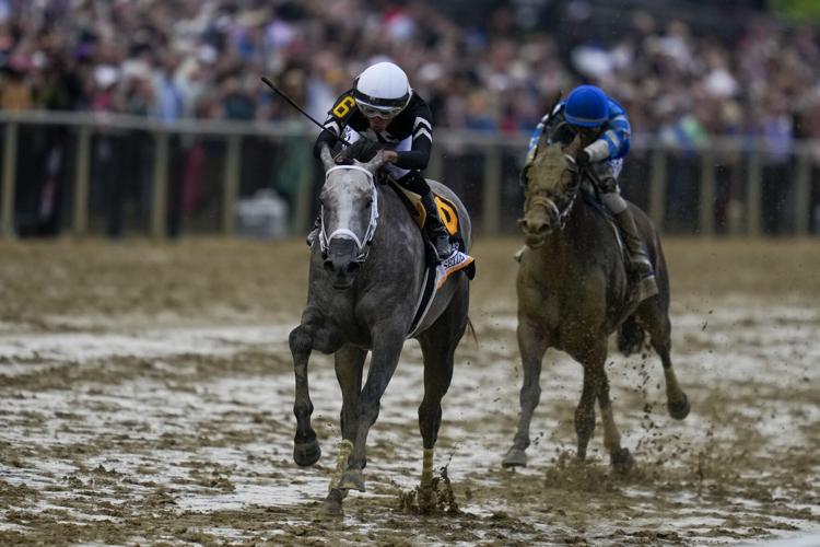Preakness Horse Racing