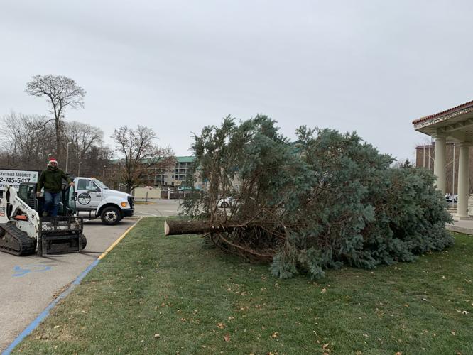 The Christmas tree is placed in front of Brunk Pavilion