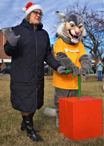 Countdown to the tree-lighting