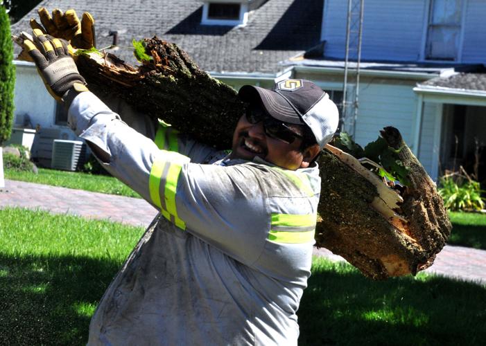 Chucho Esquivel of Power Tree Removal & Landscaping, Inc. in Harvard, Illinois