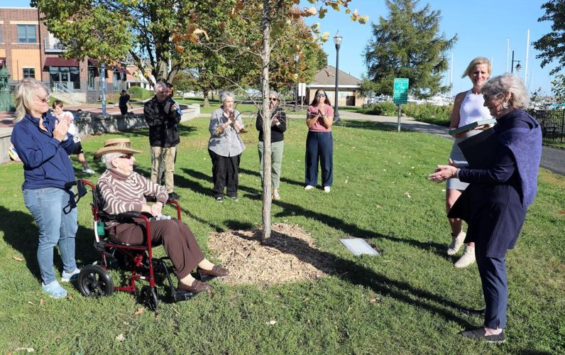 Kenosha Community Foundation tree planting