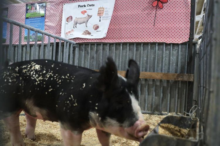Wisconsin State Fair