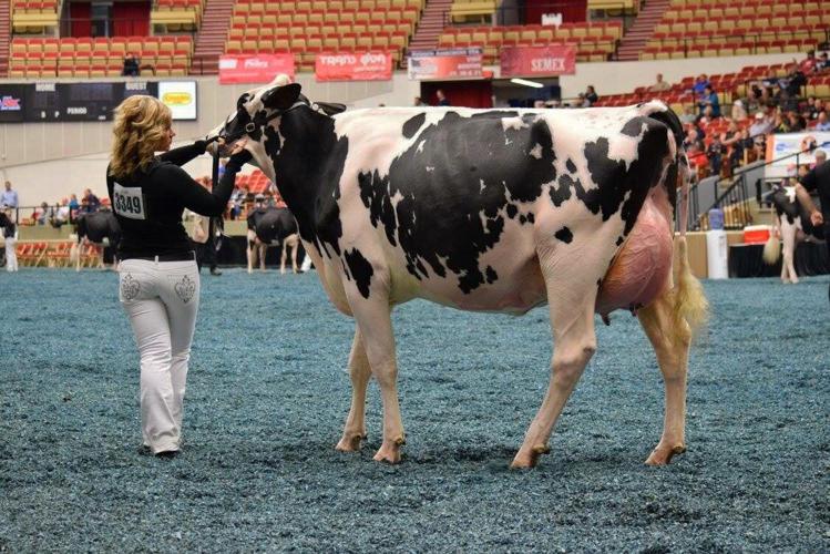 World Dairy Expo