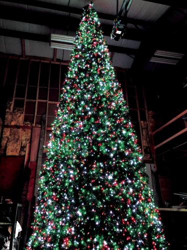 Wonderland of Lights 3