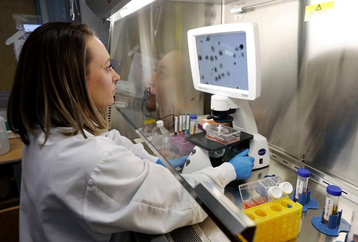 Megan with cells, microscope