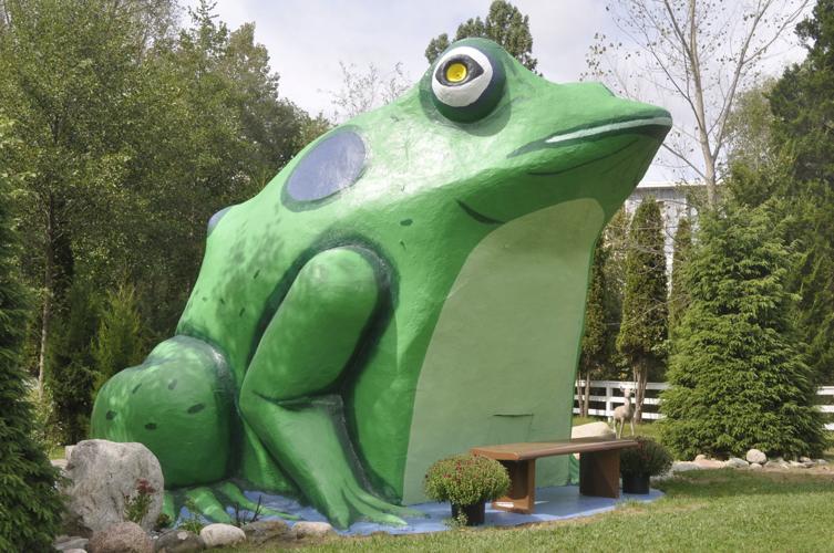 Fontana frog
