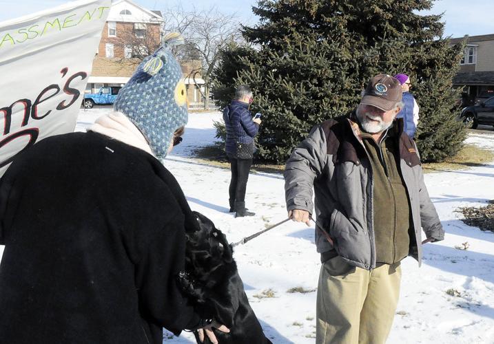 Jack Lawlor and dog Lulu make friends