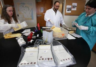 Getting blood samples ready for testing