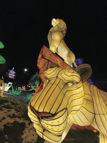 Racine Zoo Lantern Festival