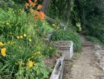 the path