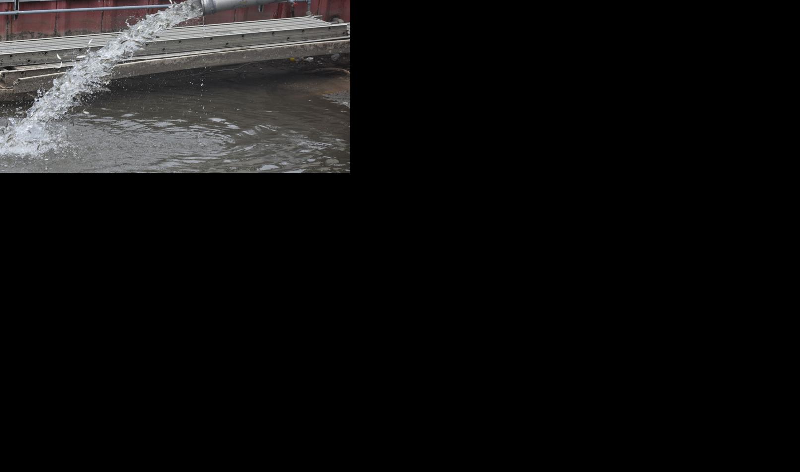 Releasing chinook salmon into Root River