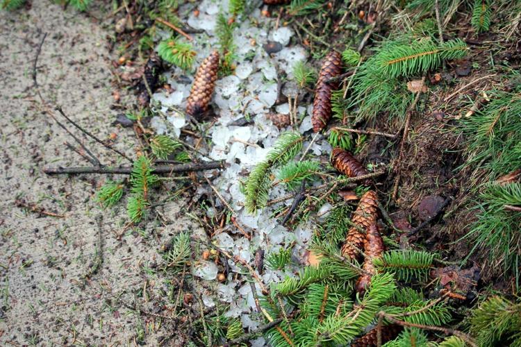 Hailstones in Westby