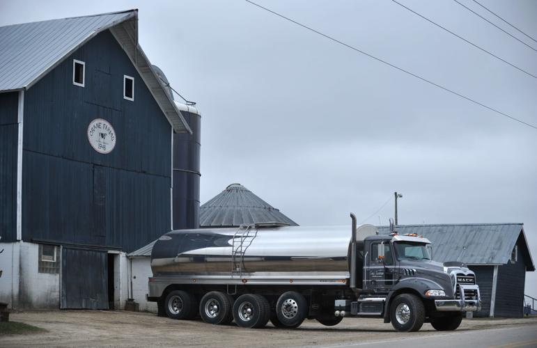 DAIRY FARMS