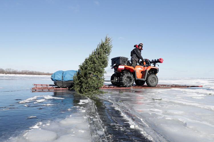 Sturgeon spearing season returns