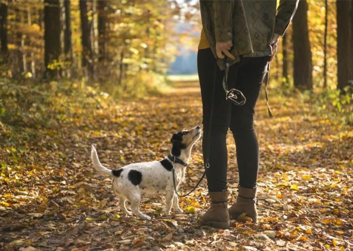 #13. Brentwood, Missouri