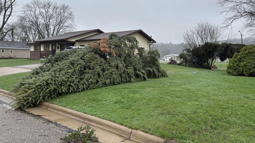 Trees down in Union Center