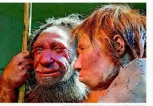 Study shows ancient coupling between humans, Neanderthals