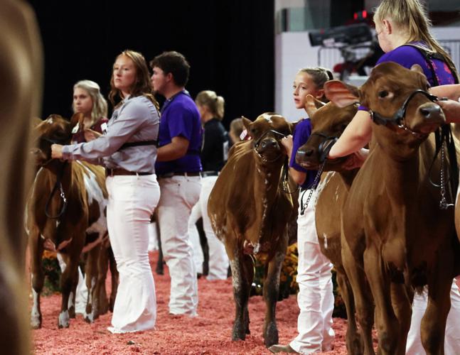 World Dairy Expo 08-09302024141111.jpg